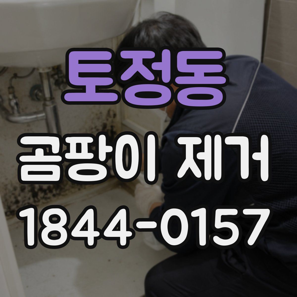 토정동 곰팡이 제거