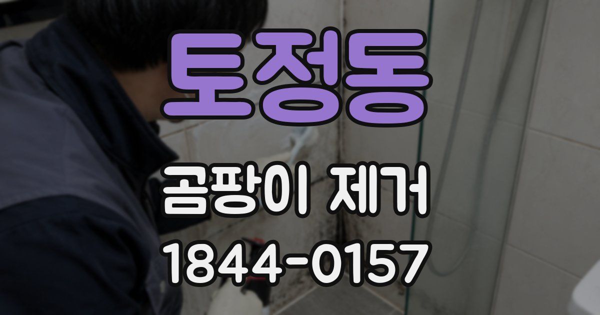 토정동 곰팡이 제거