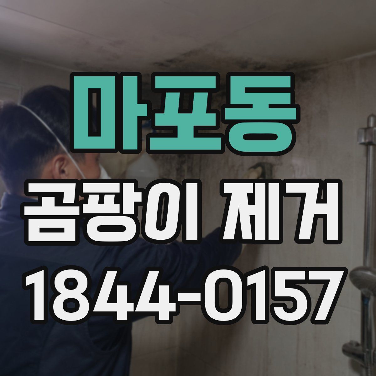 마포동 곰팡이 제거