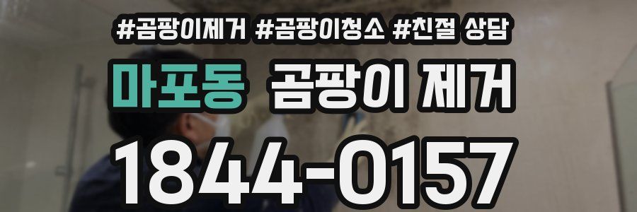 마포동 곰팡이 제거