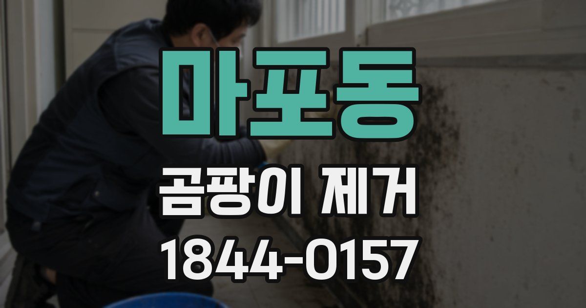 마포동 곰팡이 제거