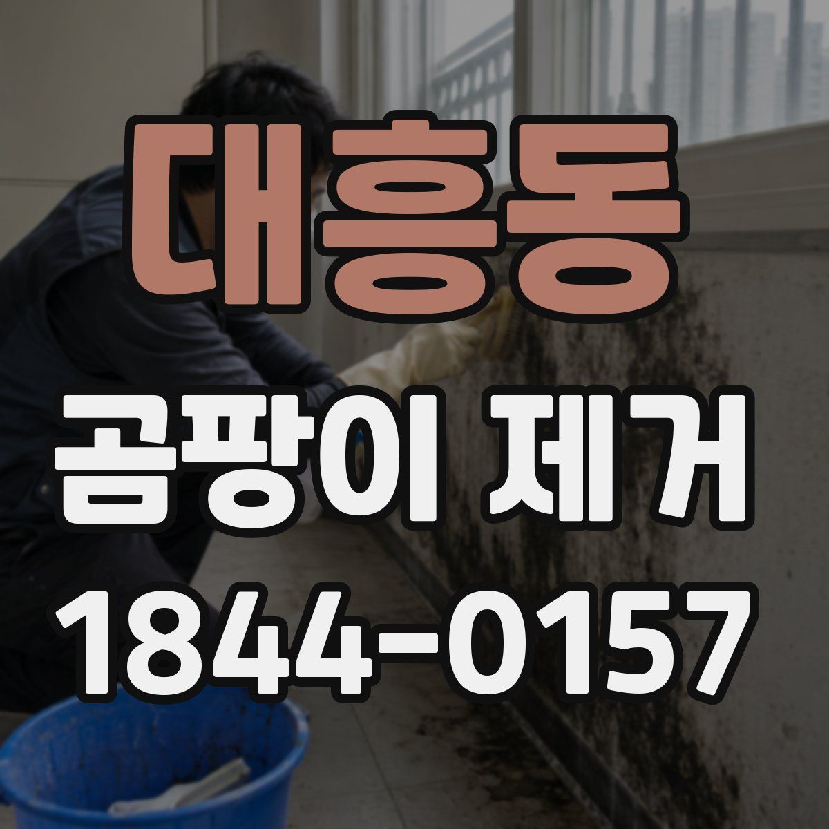 대흥동 곰팡이 제거