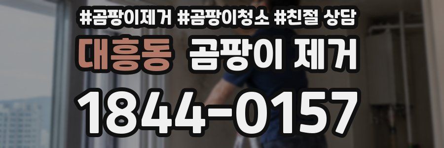 대흥동 곰팡이 제거