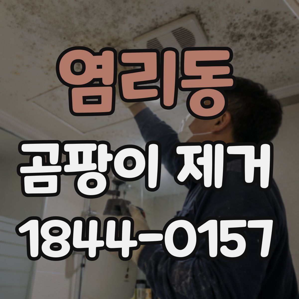 염리동 곰팡이 제거