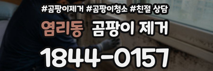 염리동 곰팡이 제거