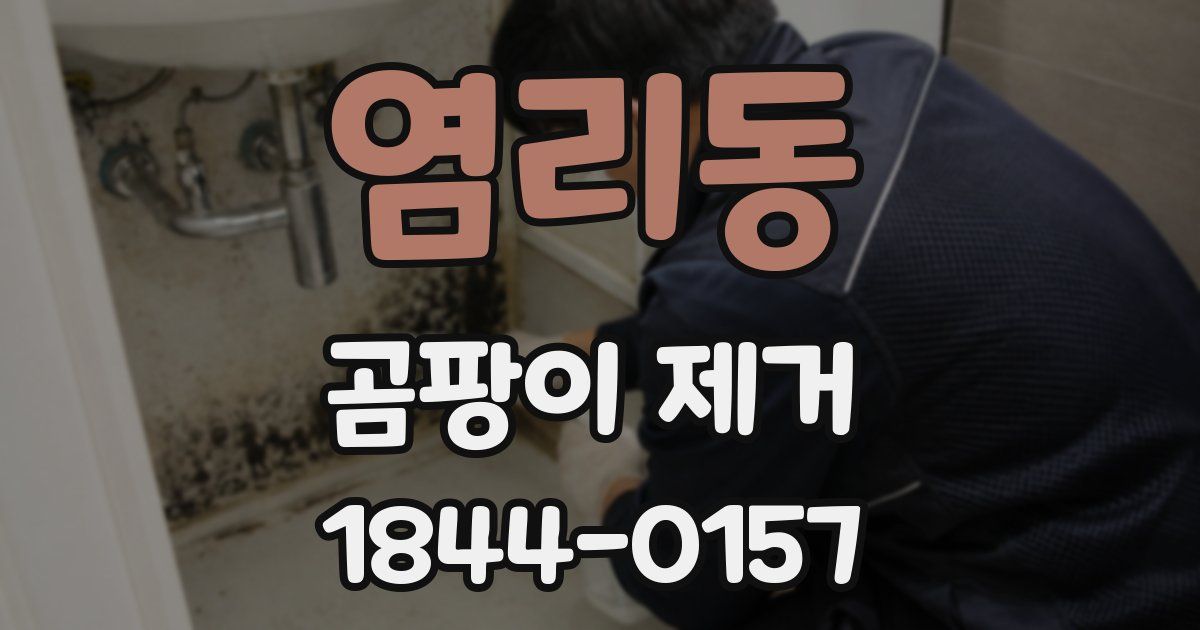 염리동 곰팡이 제거