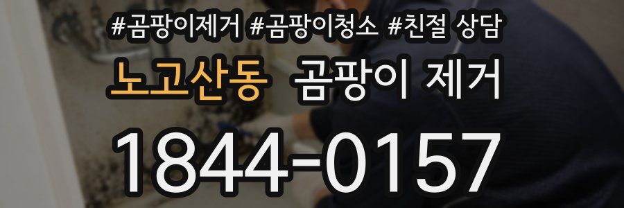 노고산동 곰팡이 제거