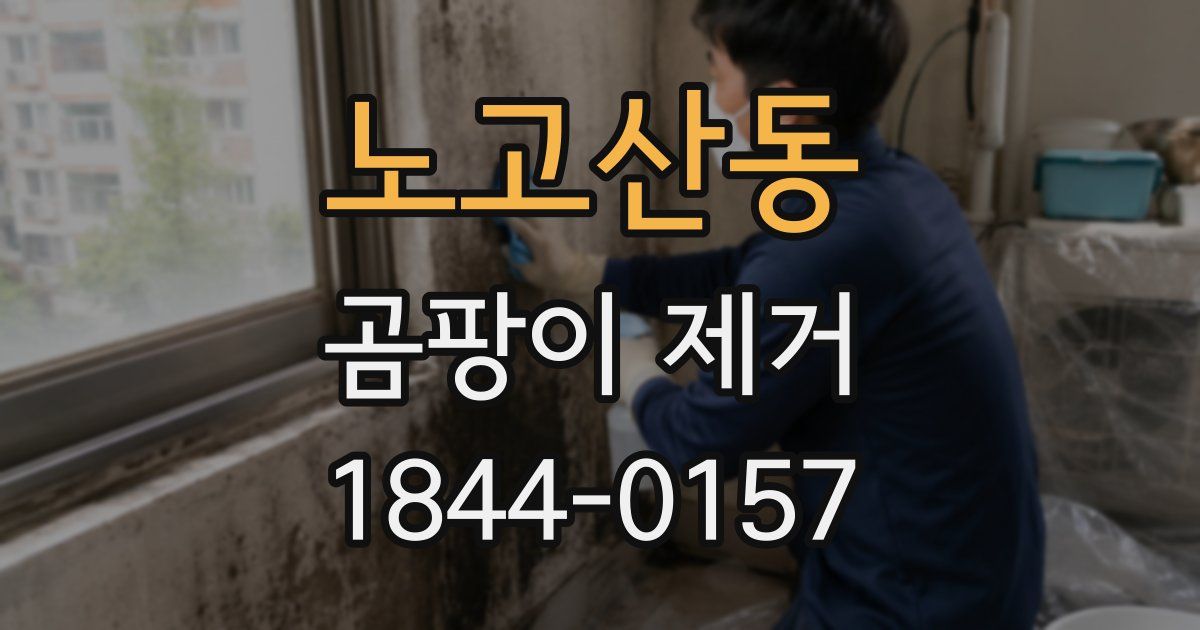 노고산동 곰팡이 제거