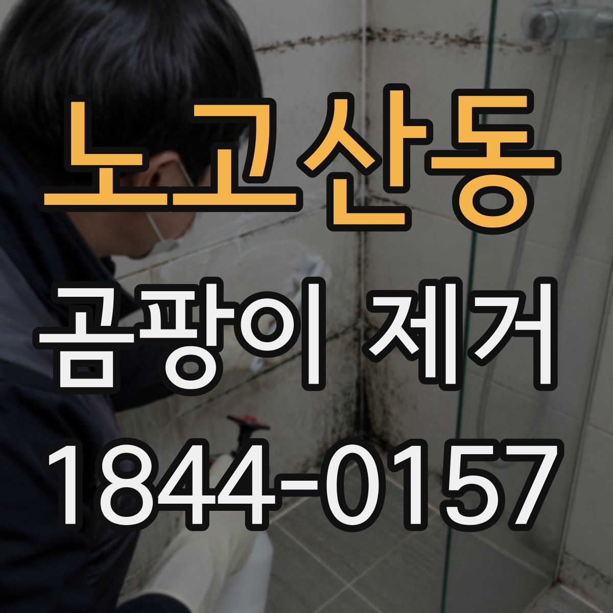 노고산동 곰팡이 제거