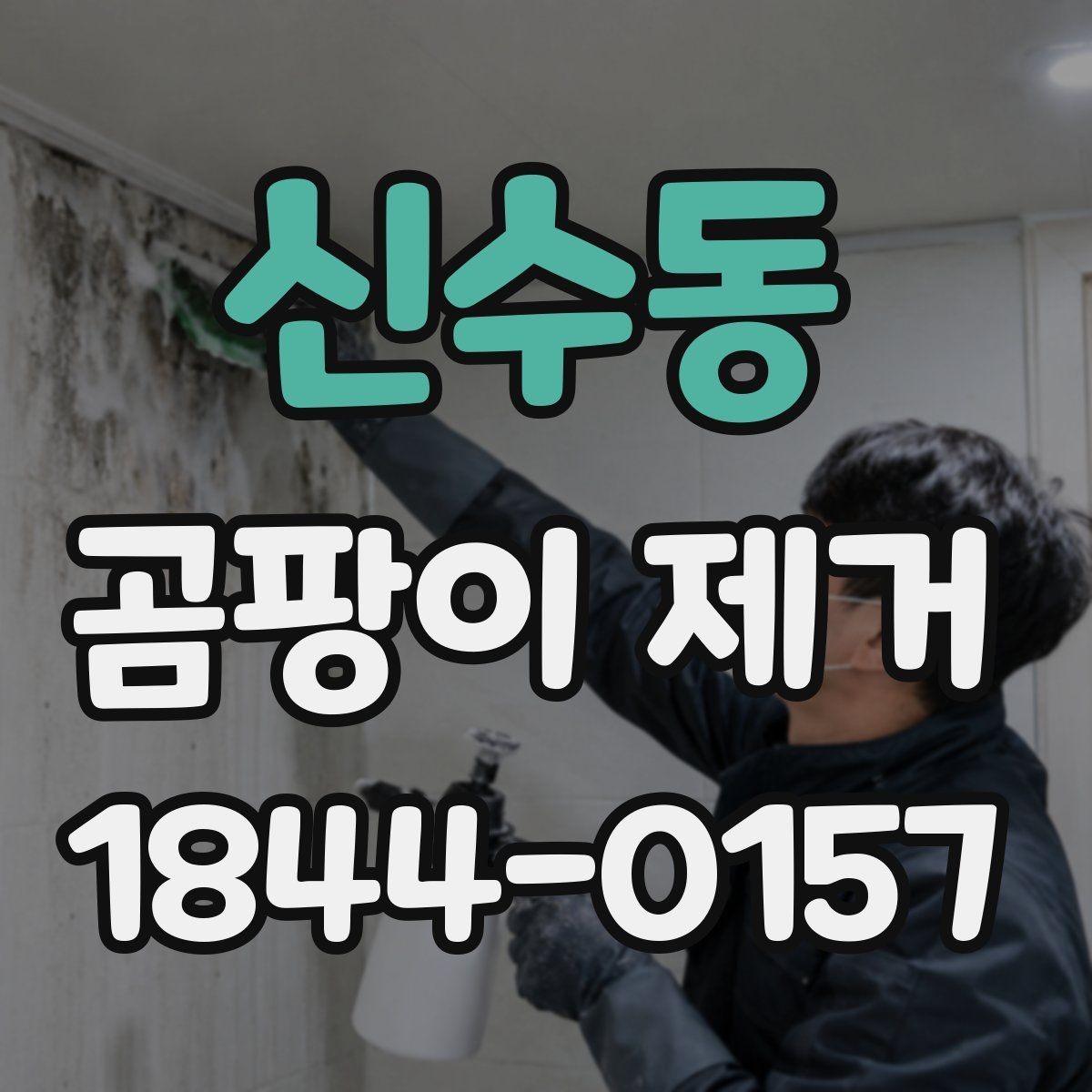 신수동 곰팡이 제거 전 상태 진단이 필요한 이유
