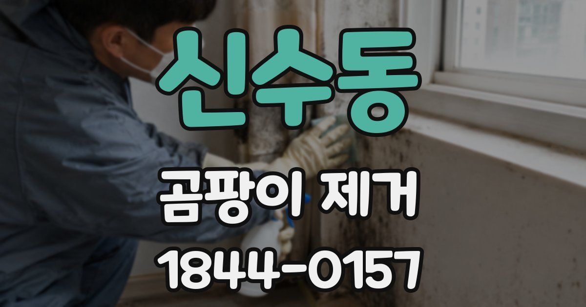 신수동 곰팡이 제거