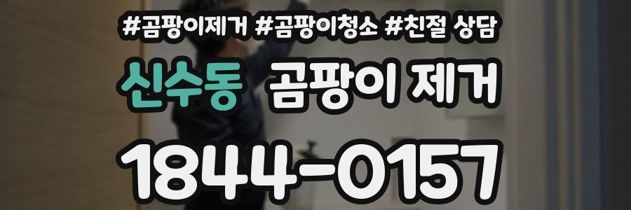 신수동 곰팡이 제거