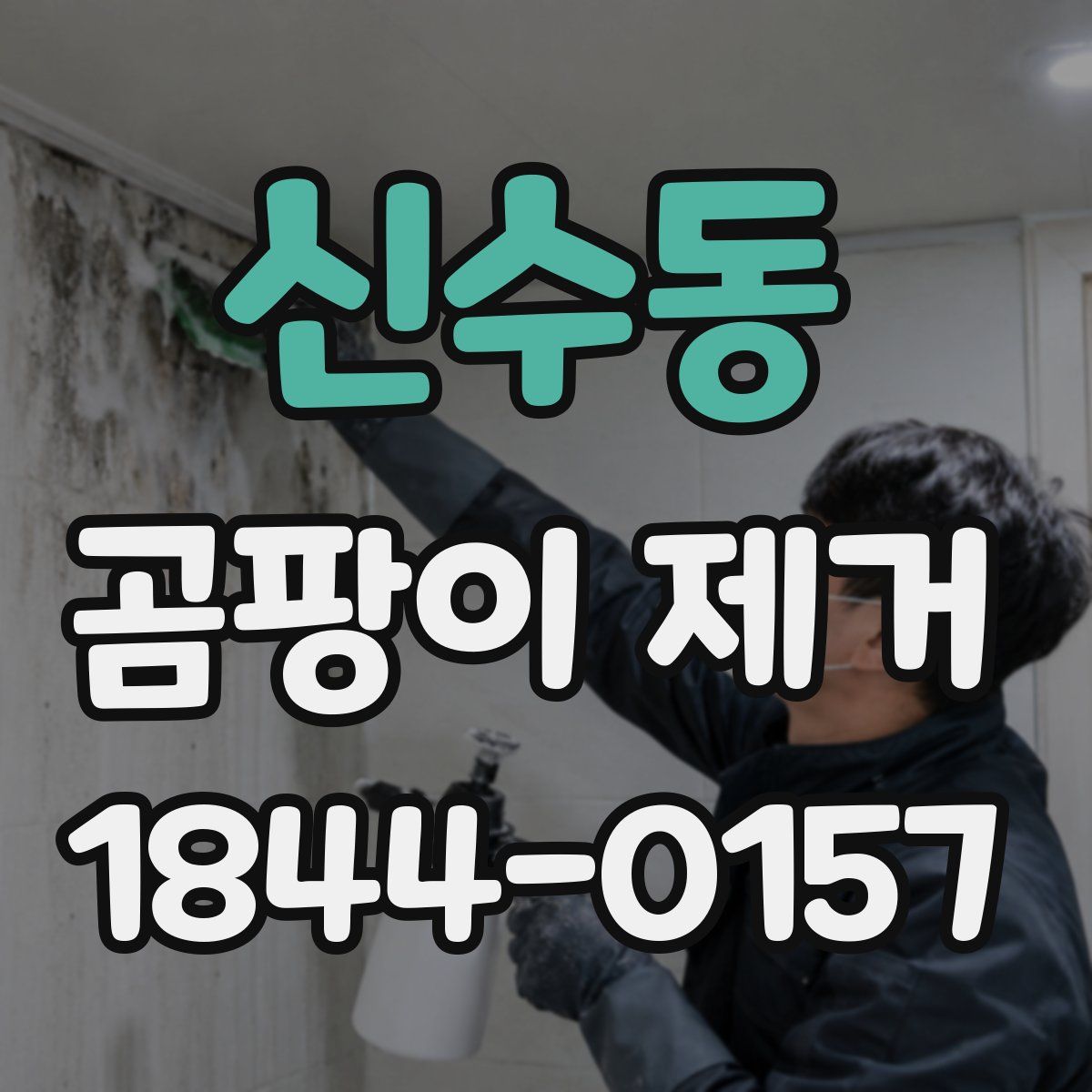 신수동 곰팡이 제거