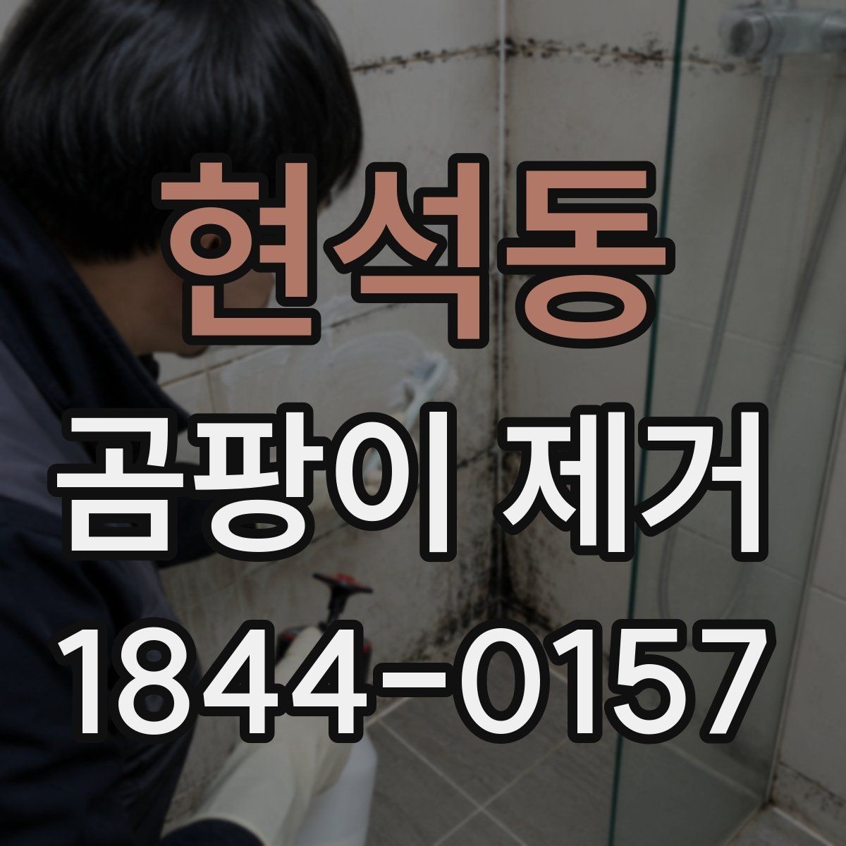 현석동 곰팡이 제거 서비스 선택에서 중요한 위생 관리