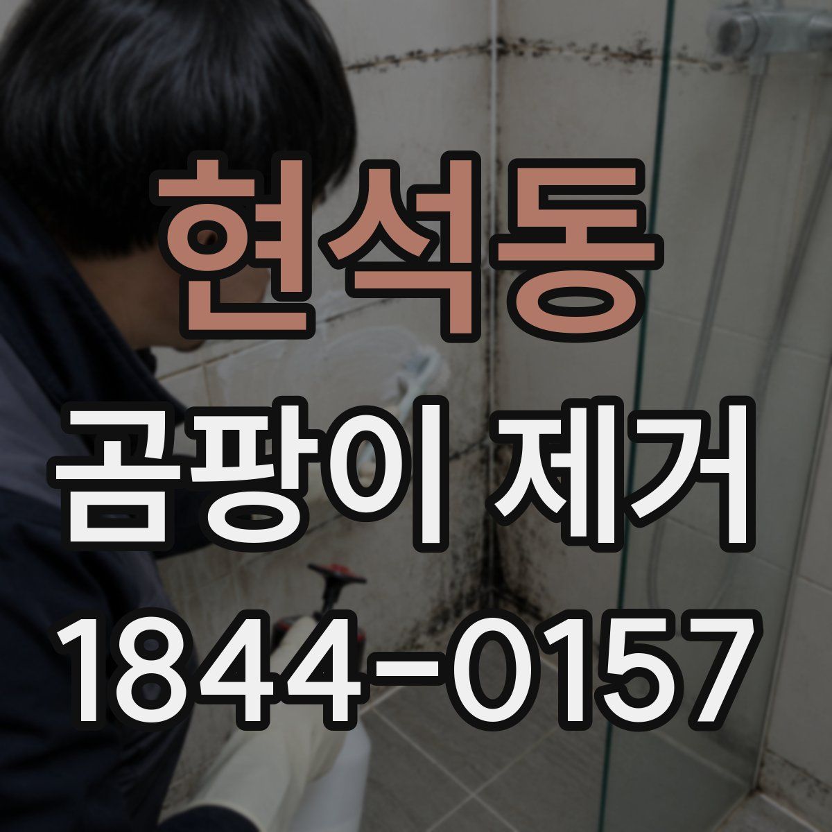 현석동 곰팡이 제거