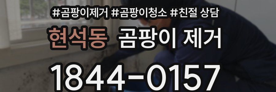 현석동 곰팡이 제거