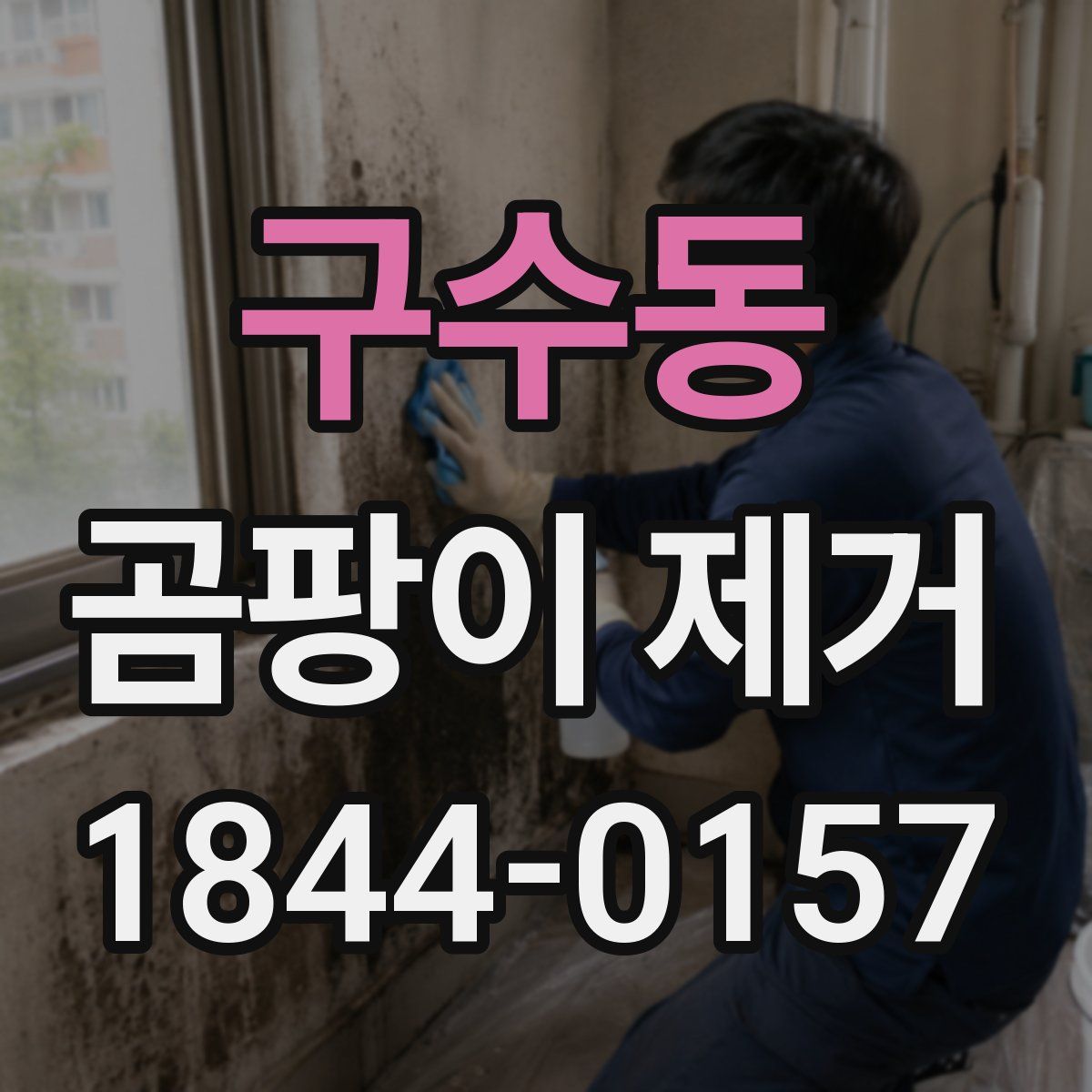 구수동 곰팡이 제거