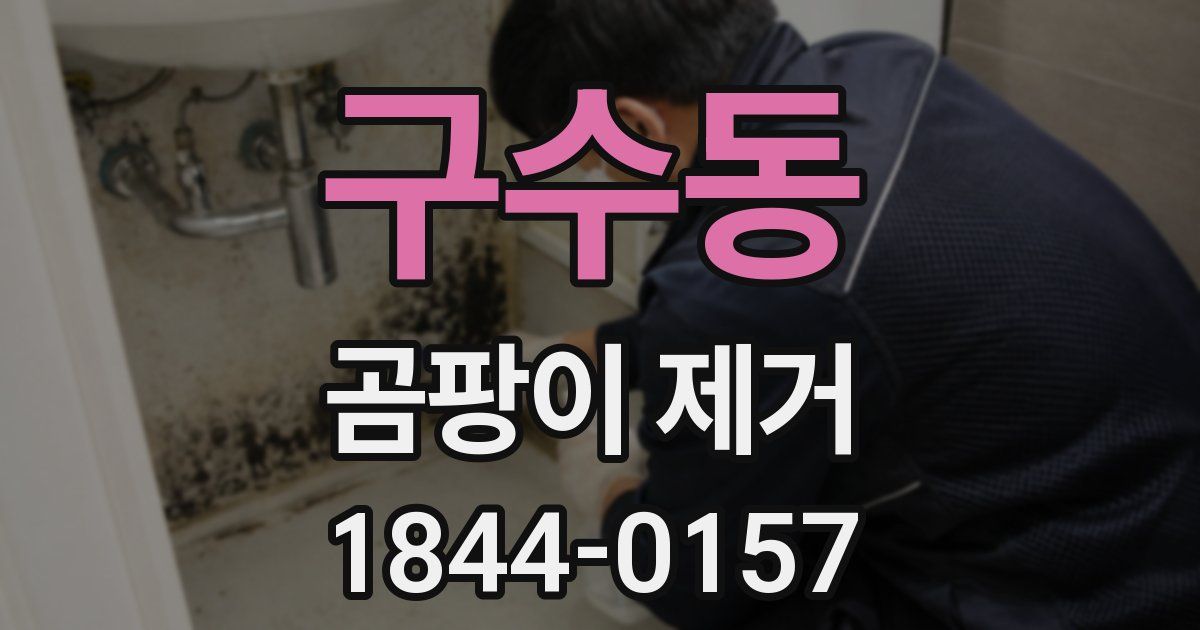 구수동 곰팡이 제거