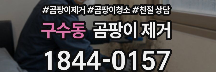 구수동 곰팡이 제거