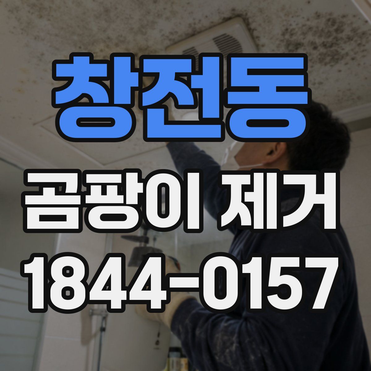 창전동 곰팡이 제거