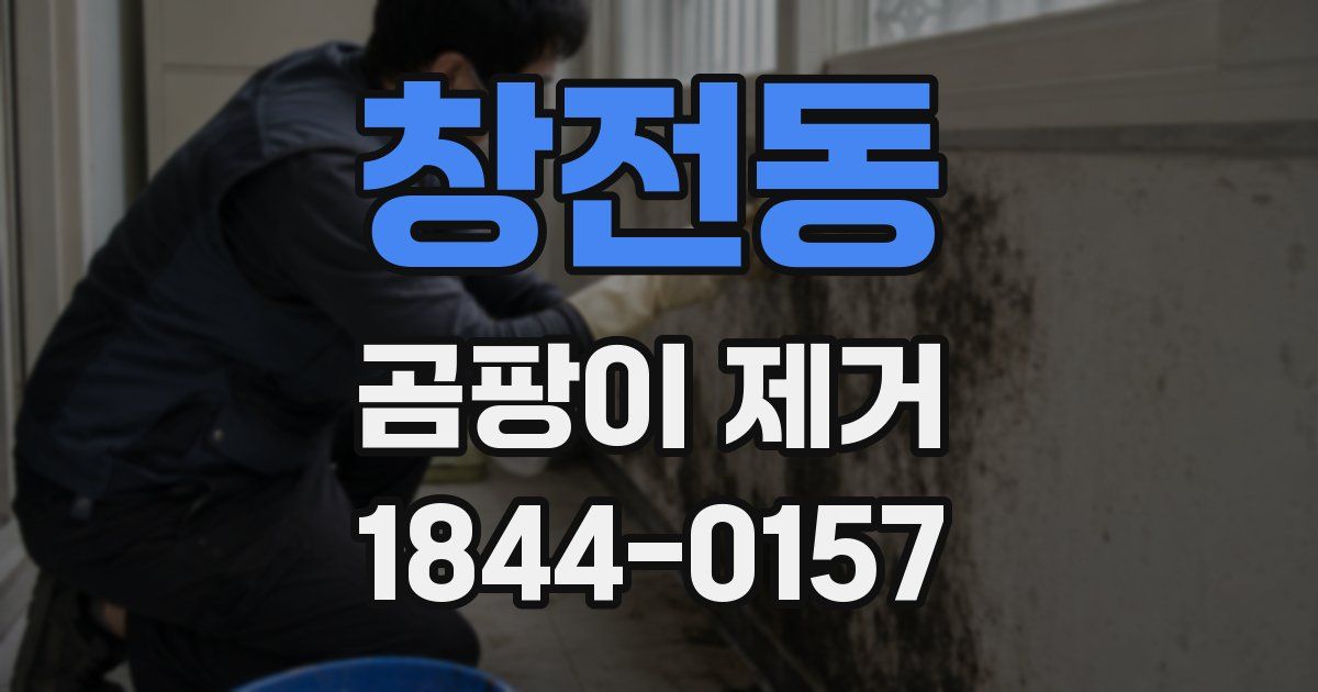 창전동 곰팡이 제거