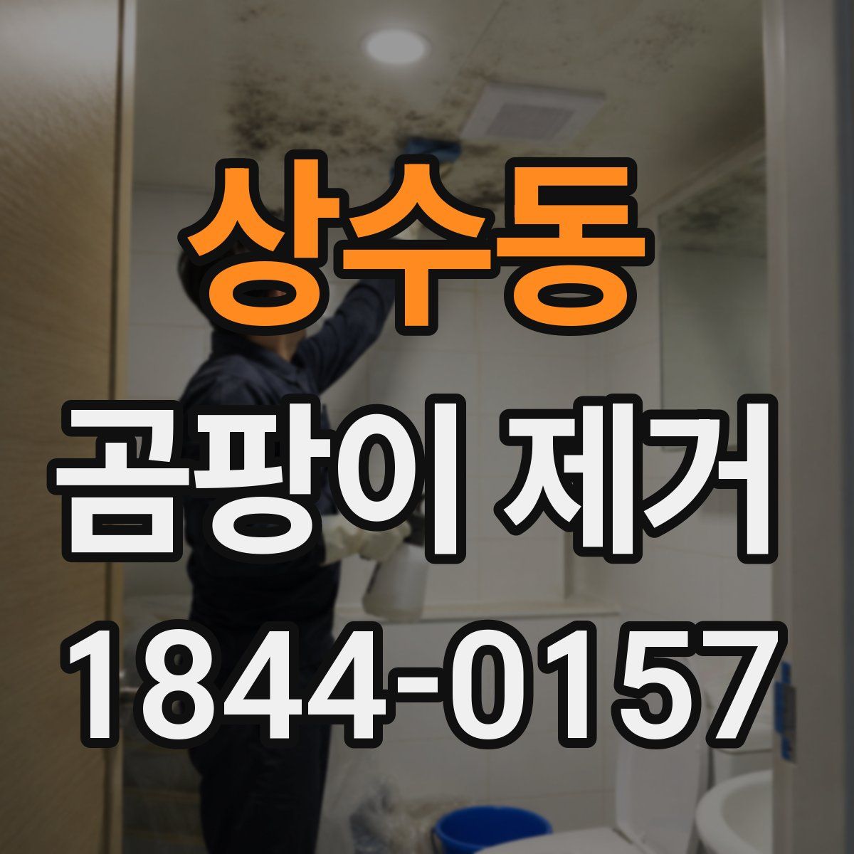 상수동 곰팡이 제거
