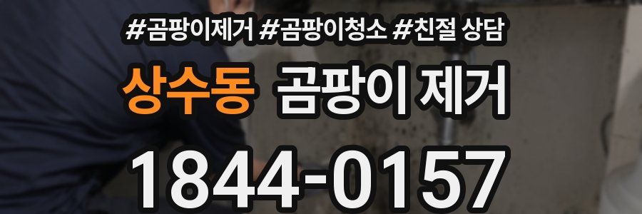 상수동 곰팡이 제거