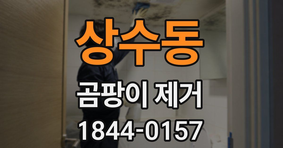 상수동 곰팡이 제거