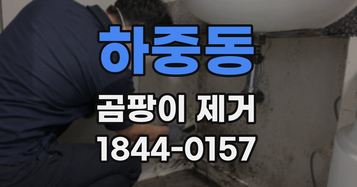 하중동 곰팡이 제거