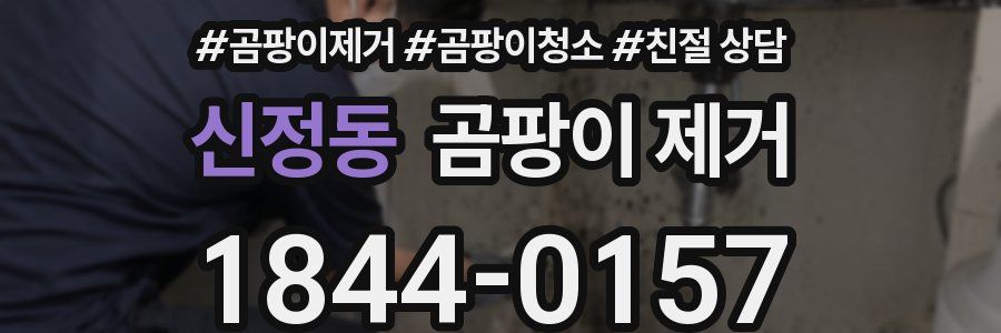 신정동 곰팡이 제거
