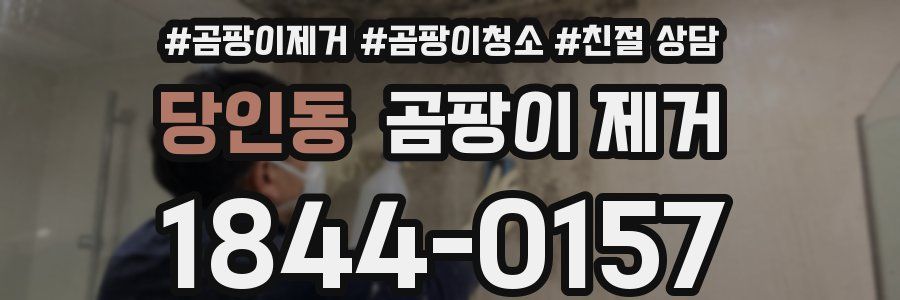 당인동 곰팡이 제거