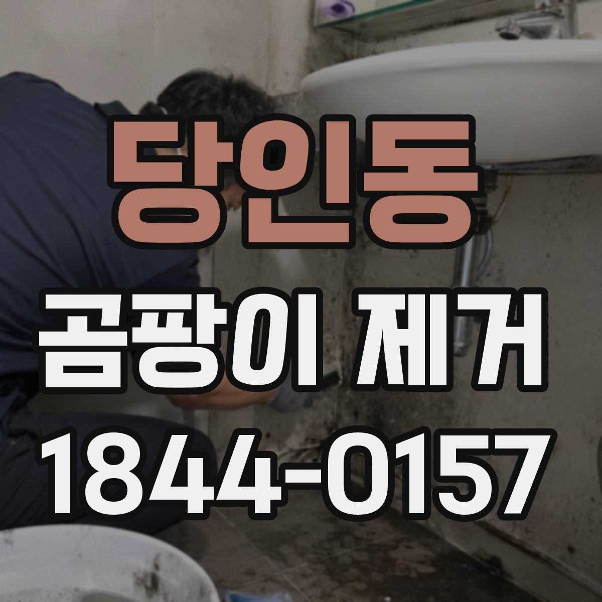 당인동 곰팡이 제거