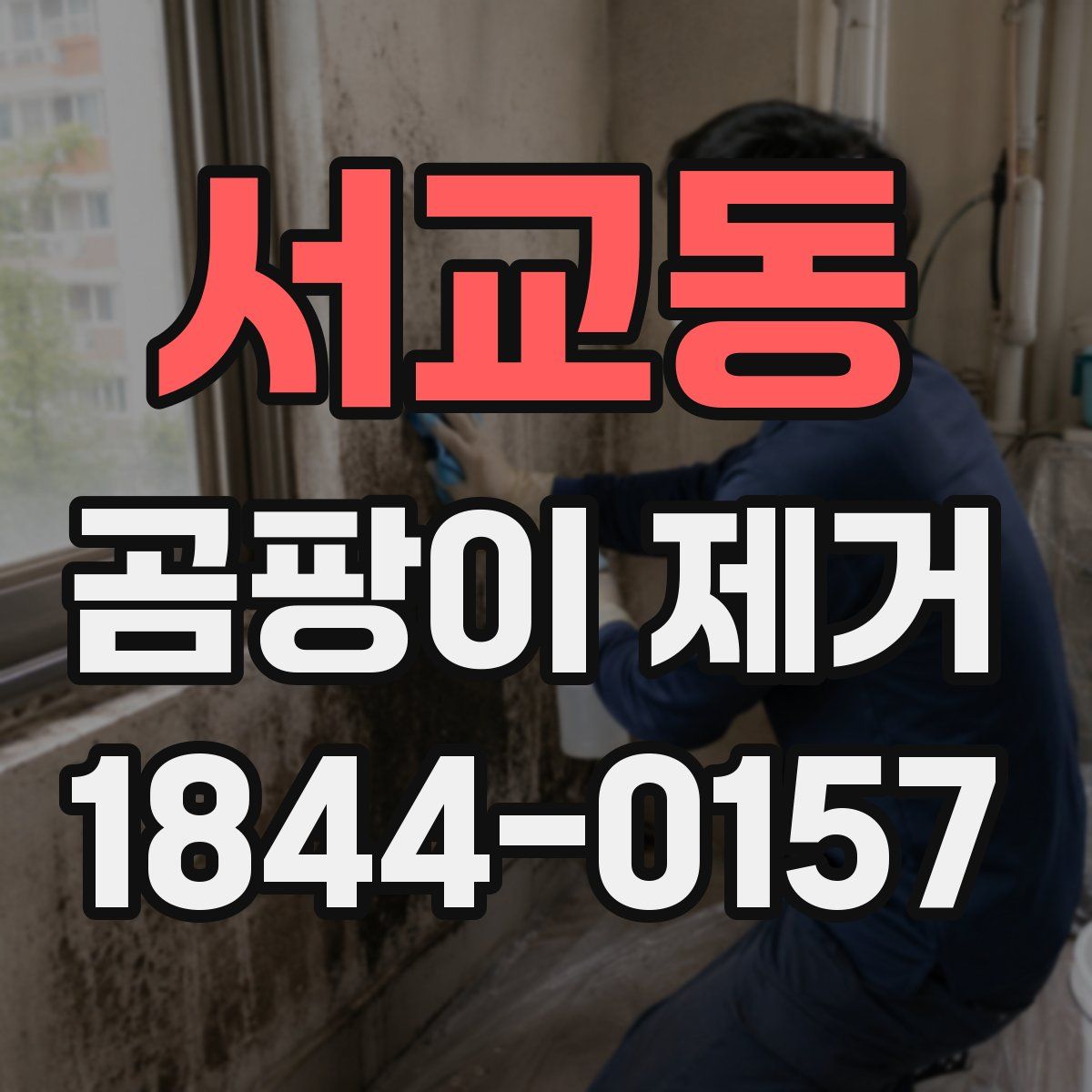 서교동 곰팡이 제거
