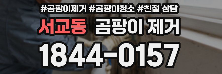 서교동 곰팡이 제거