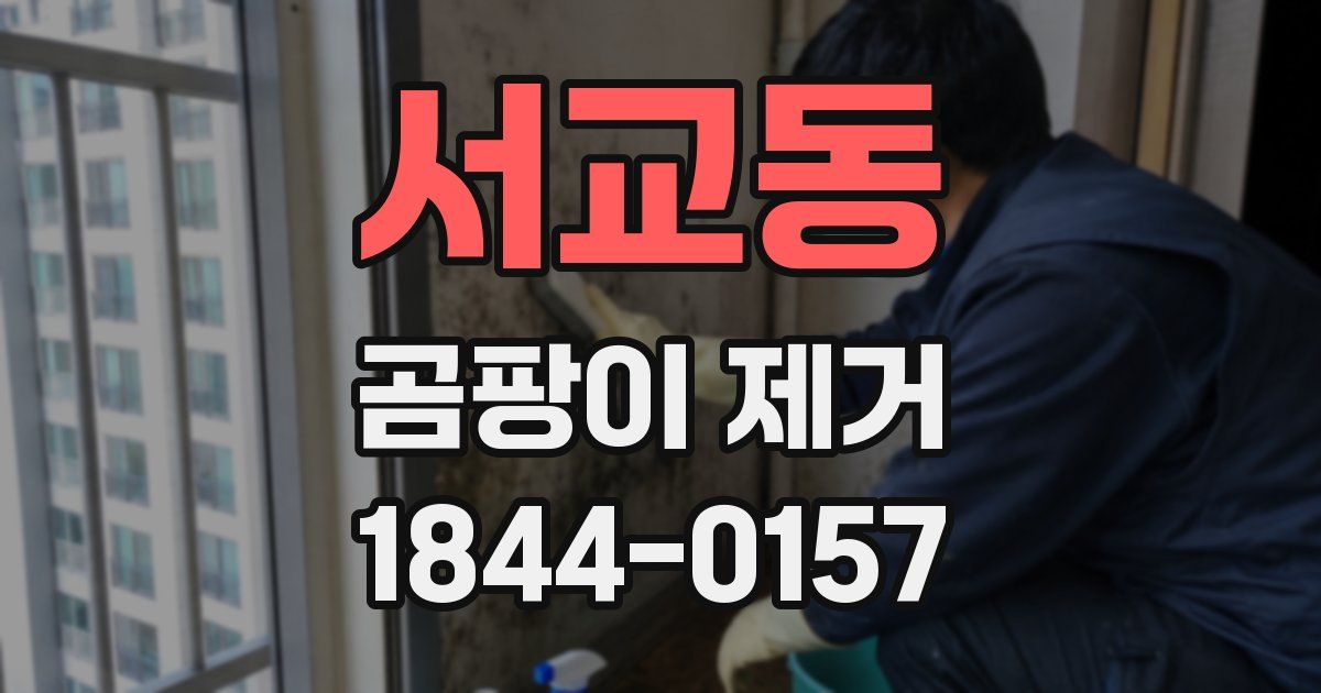 서교동 곰팡이 제거