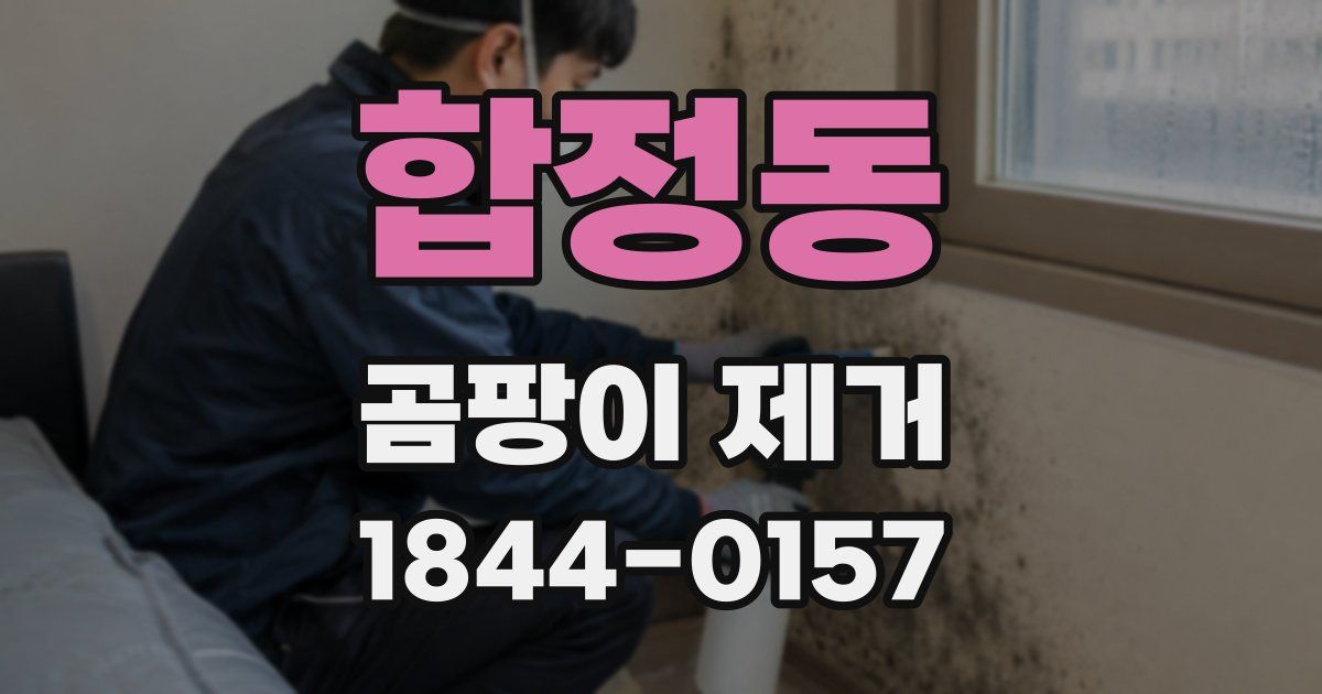 합정동 곰팡이 제거