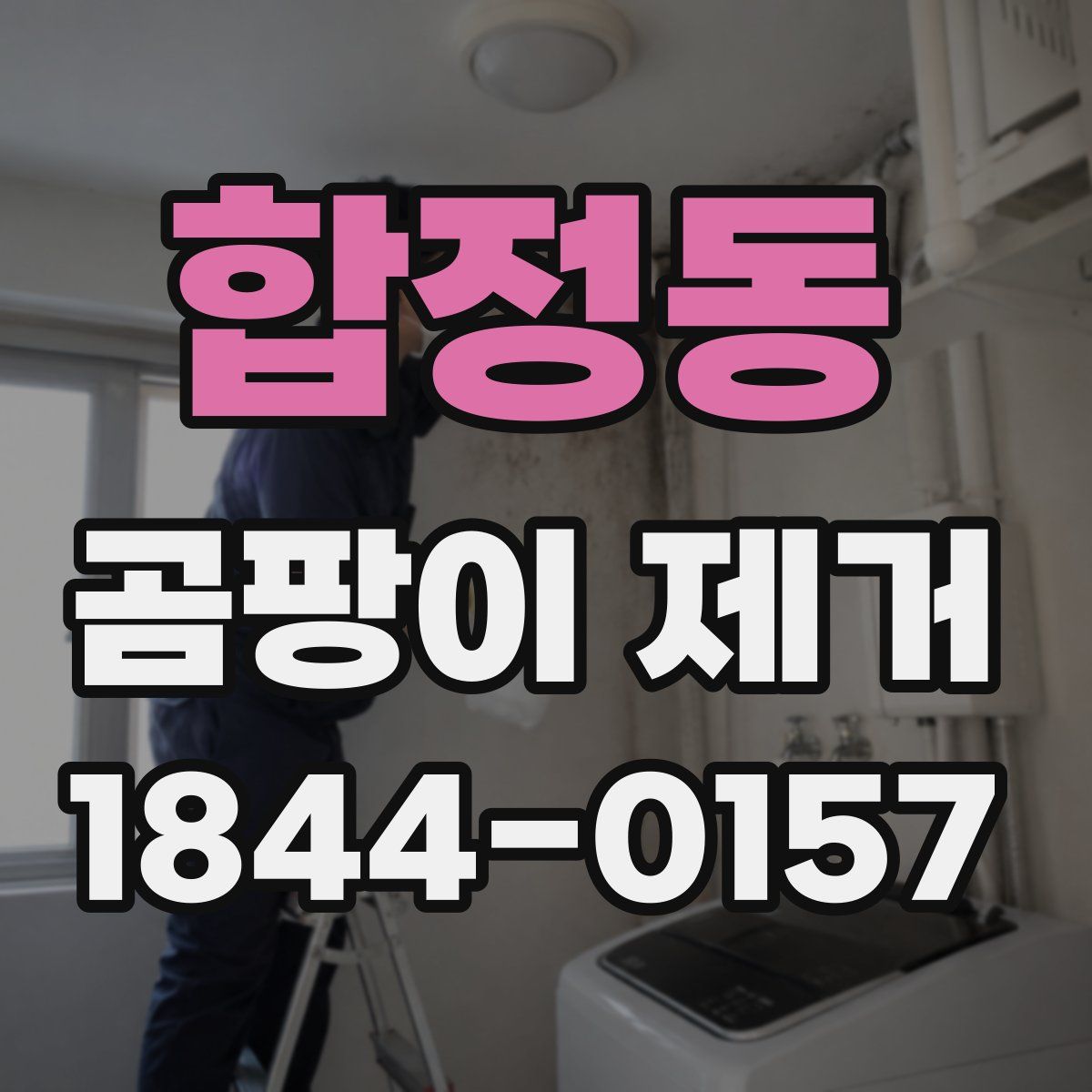 합정동 곰팡이 제거