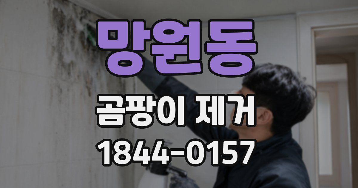 망원동 곰팡이 제거