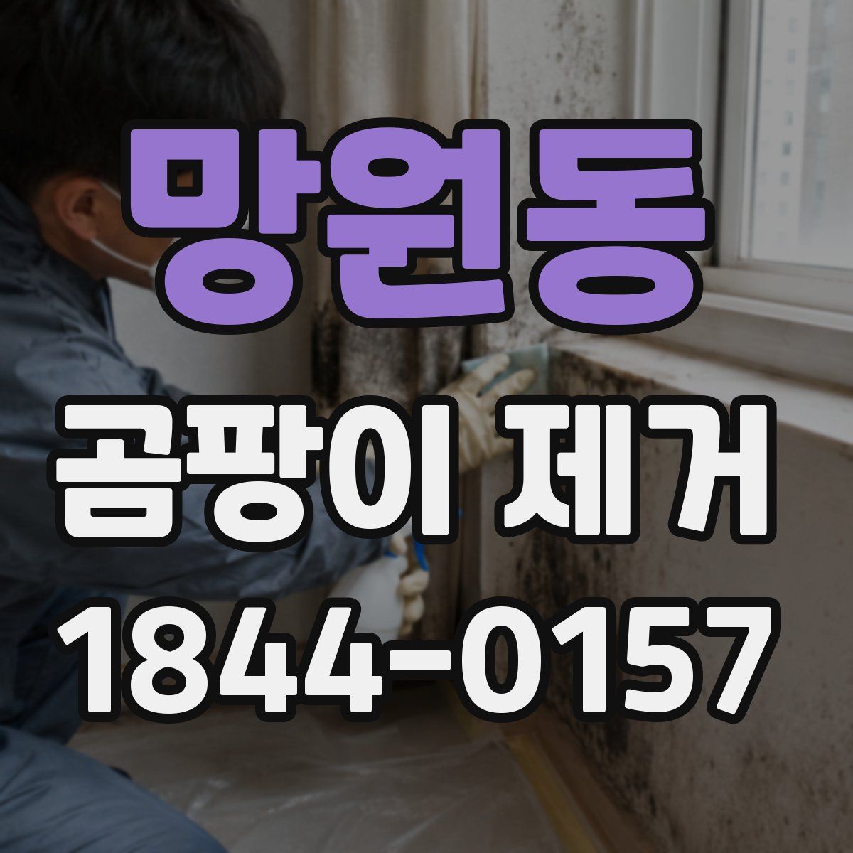 망원동 곰팡이 제거
