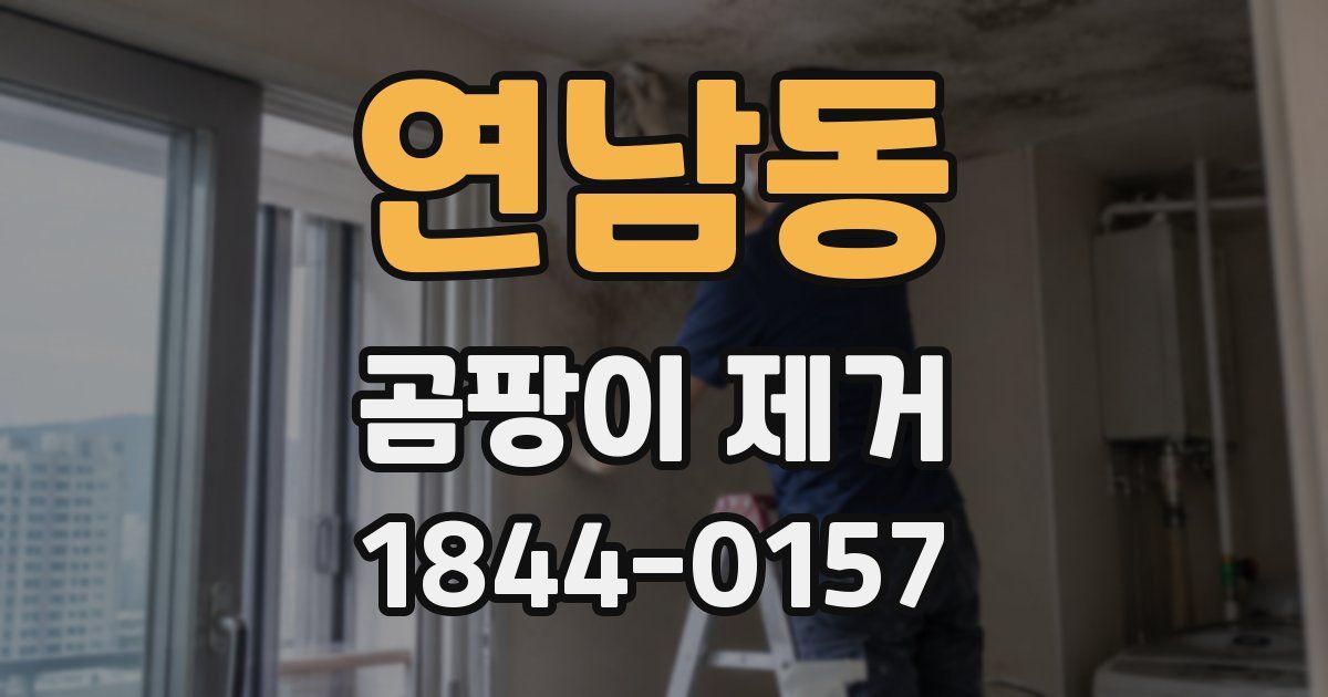 연남동 곰팡이 제거