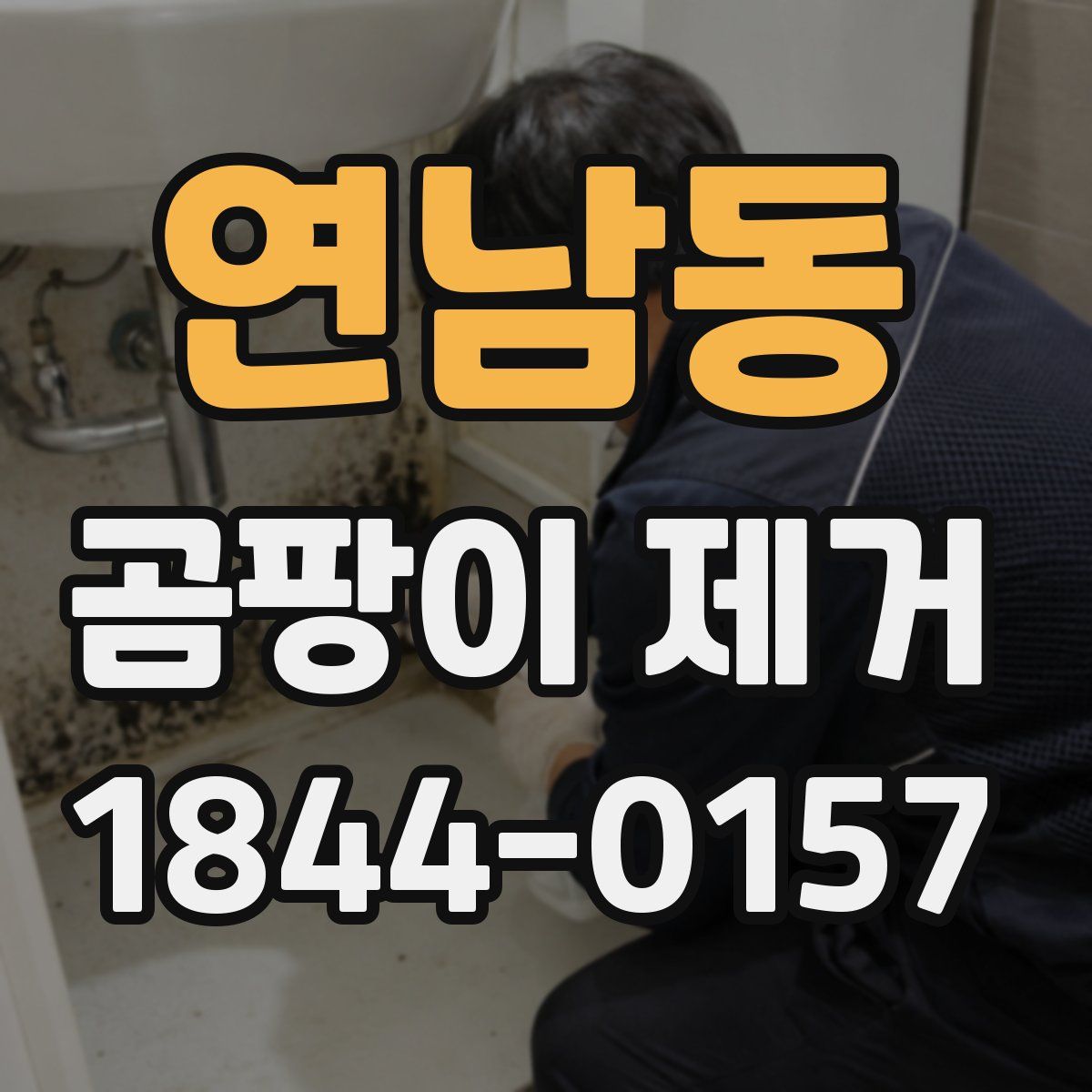 연남동 곰팡이 제거