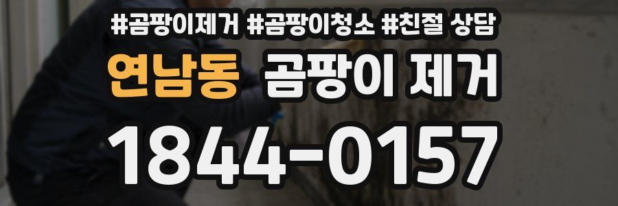 연남동 곰팡이 제거