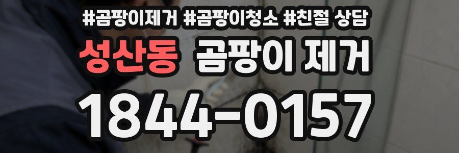 성산동 곰팡이 제거