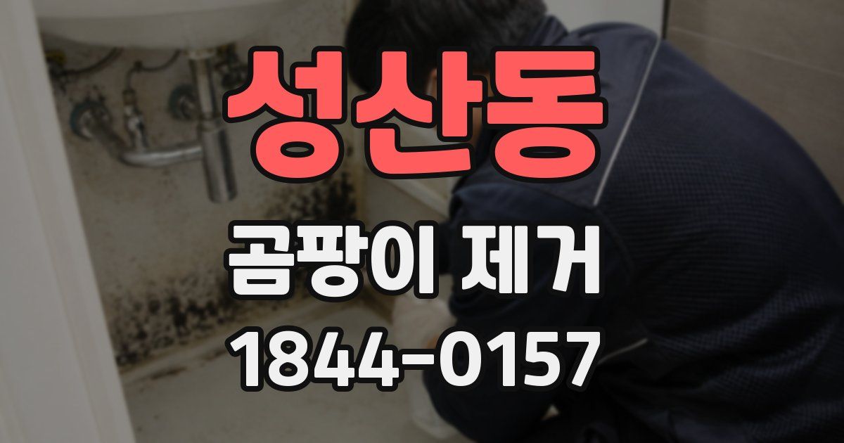 성산동 곰팡이 제거