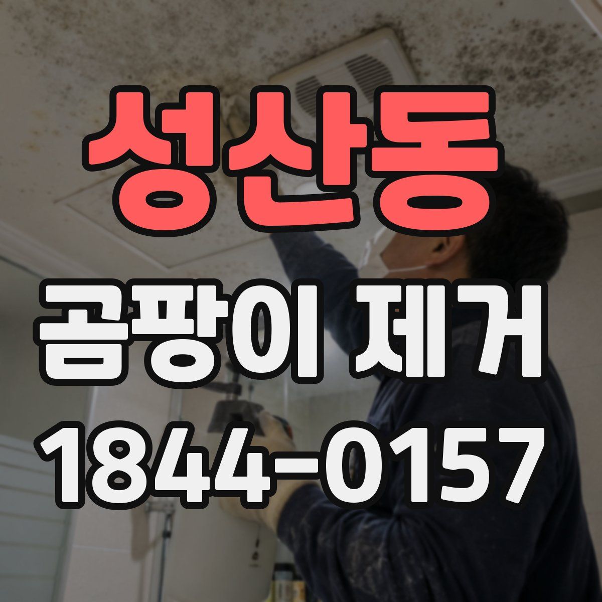 성산동 곰팡이 제거