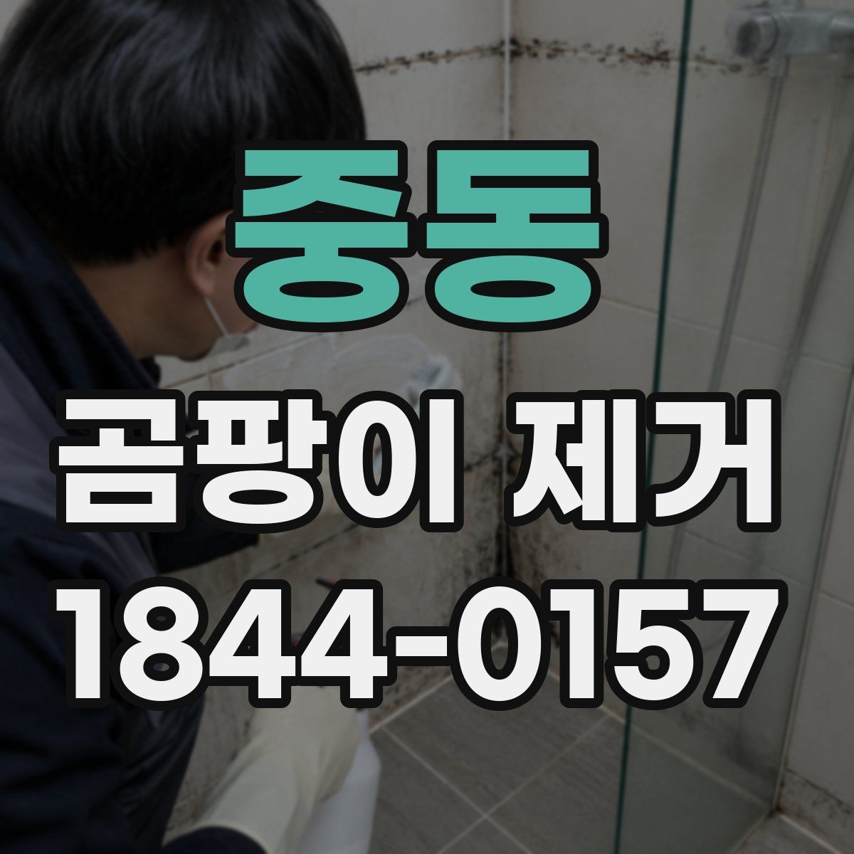 중동 곰팡이 제거