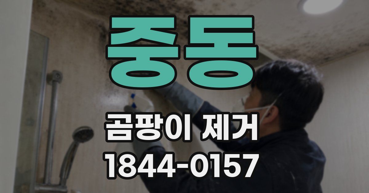 중동 곰팡이 제거