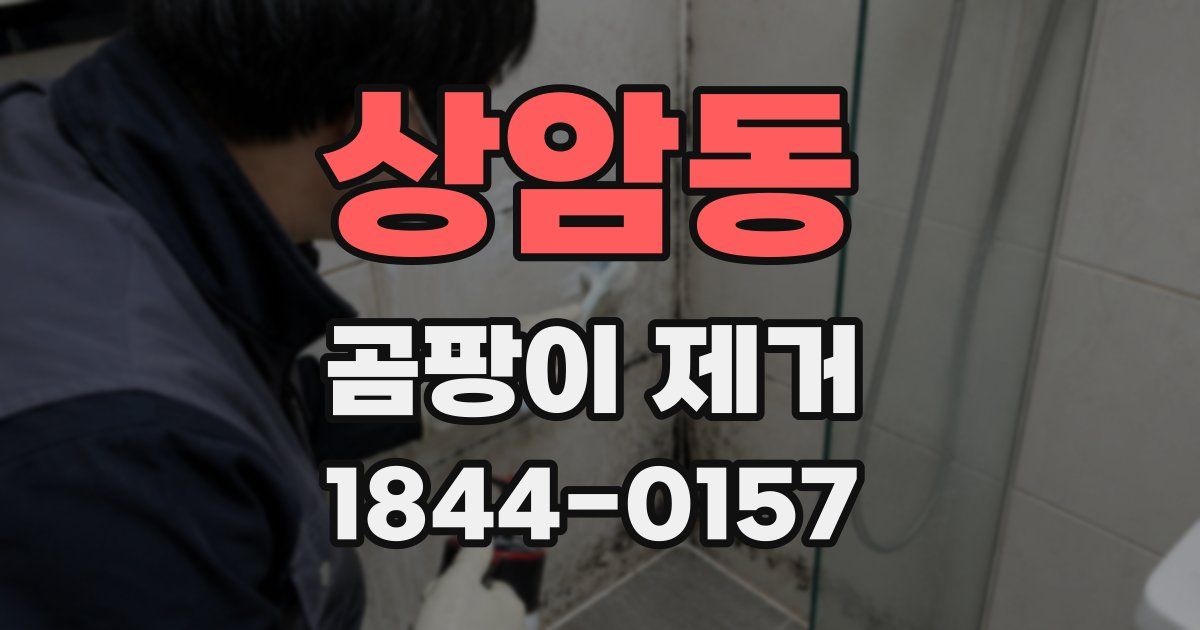 상암동 곰팡이 제거