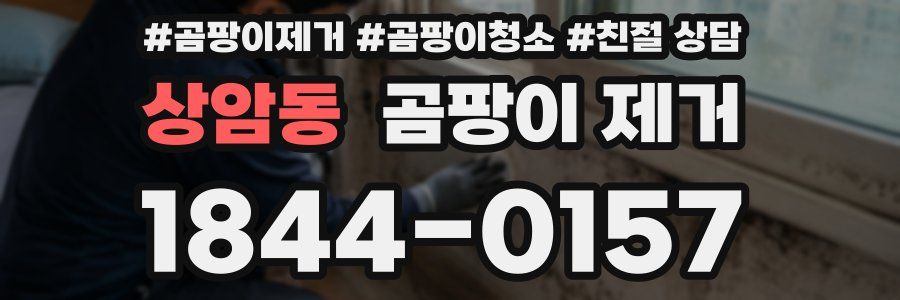 상암동 곰팡이 제거
