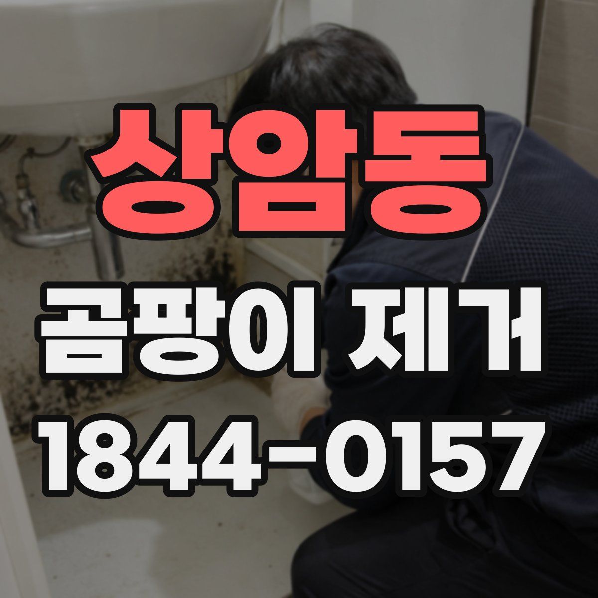 상암동 곰팡이 제거